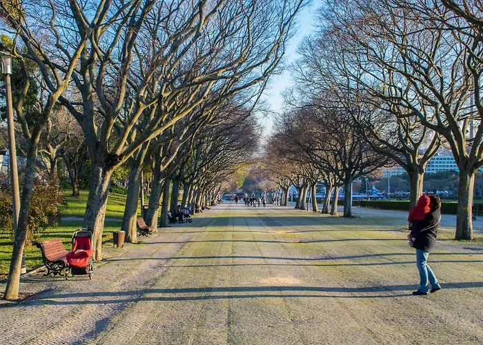 Succeed Campo Pequeno